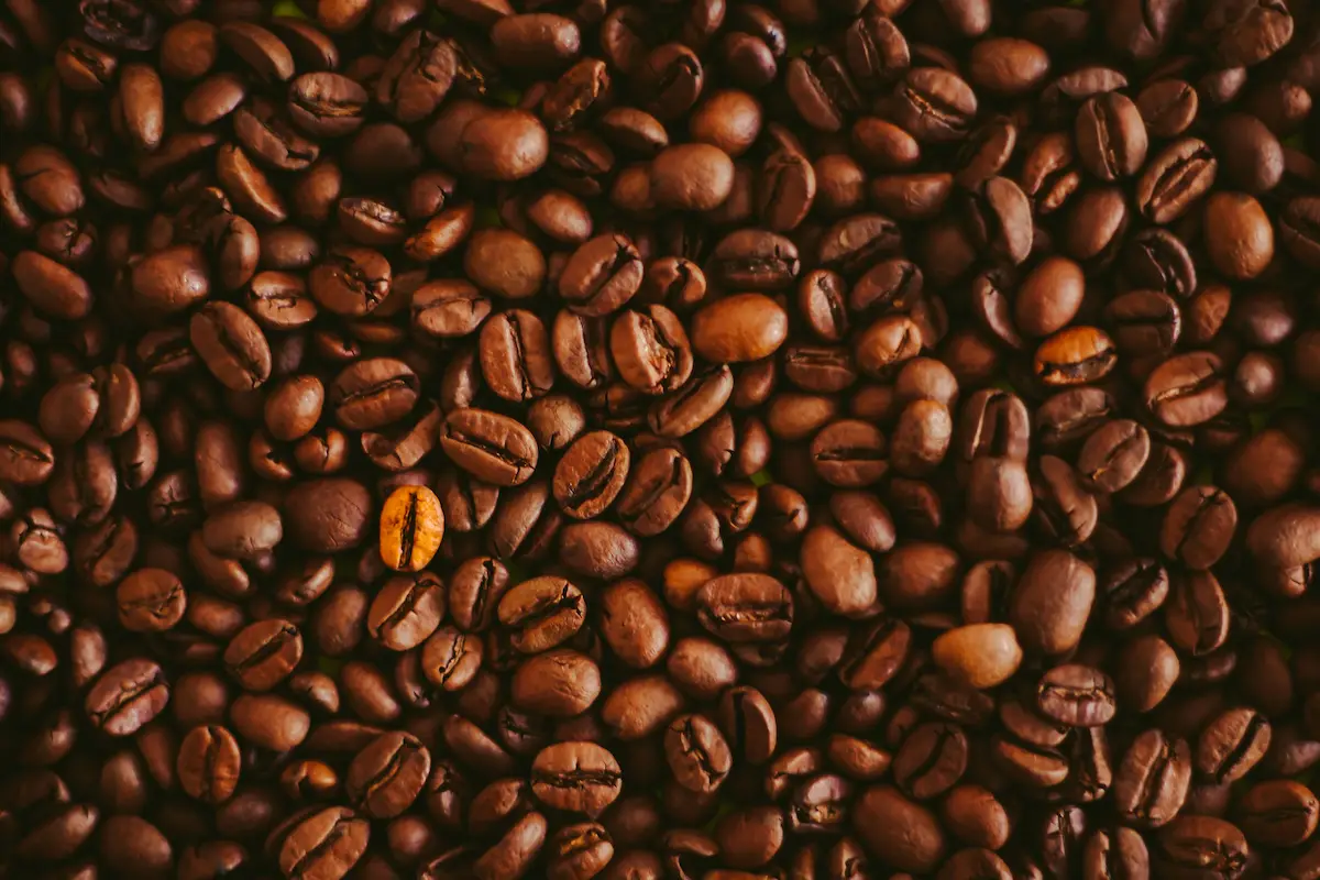 نکات مهم در بِلِند کردن قهوه