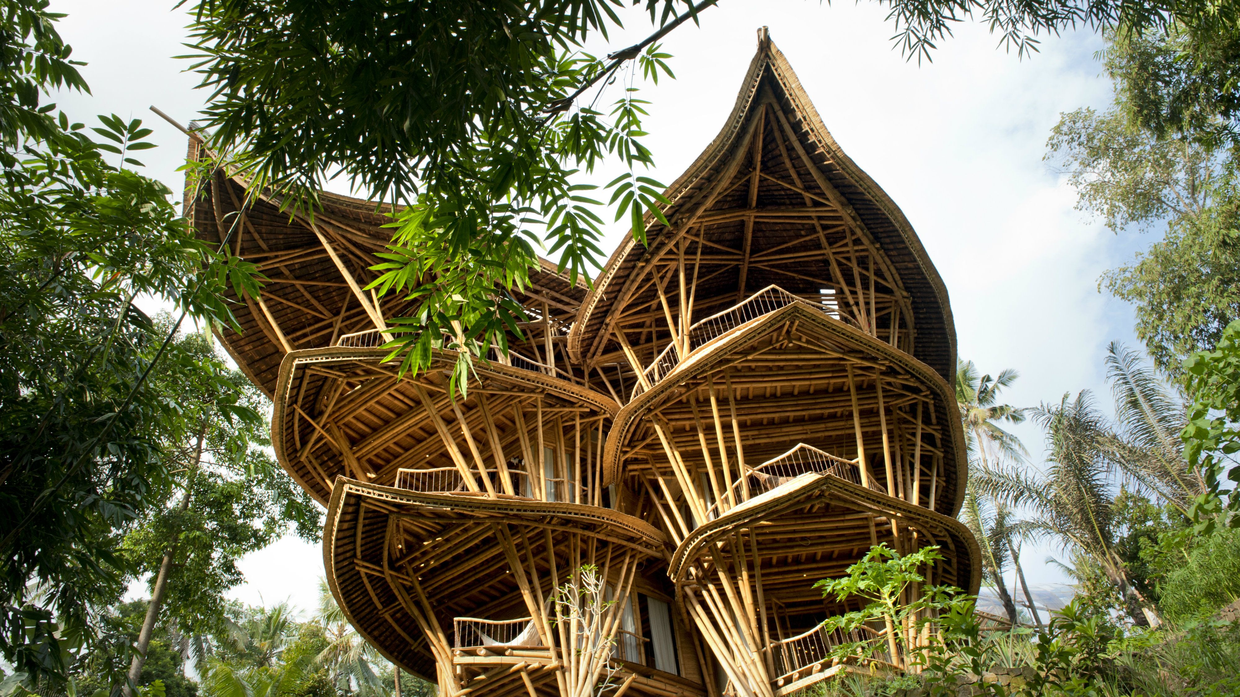 خانه به چوب بامبو از دیگر ویژگی های بامبو،مقاومت آن در برابر رطوبت است.