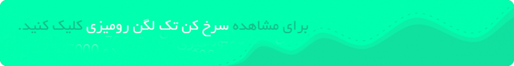 سرخ کن برقی دو مخزن